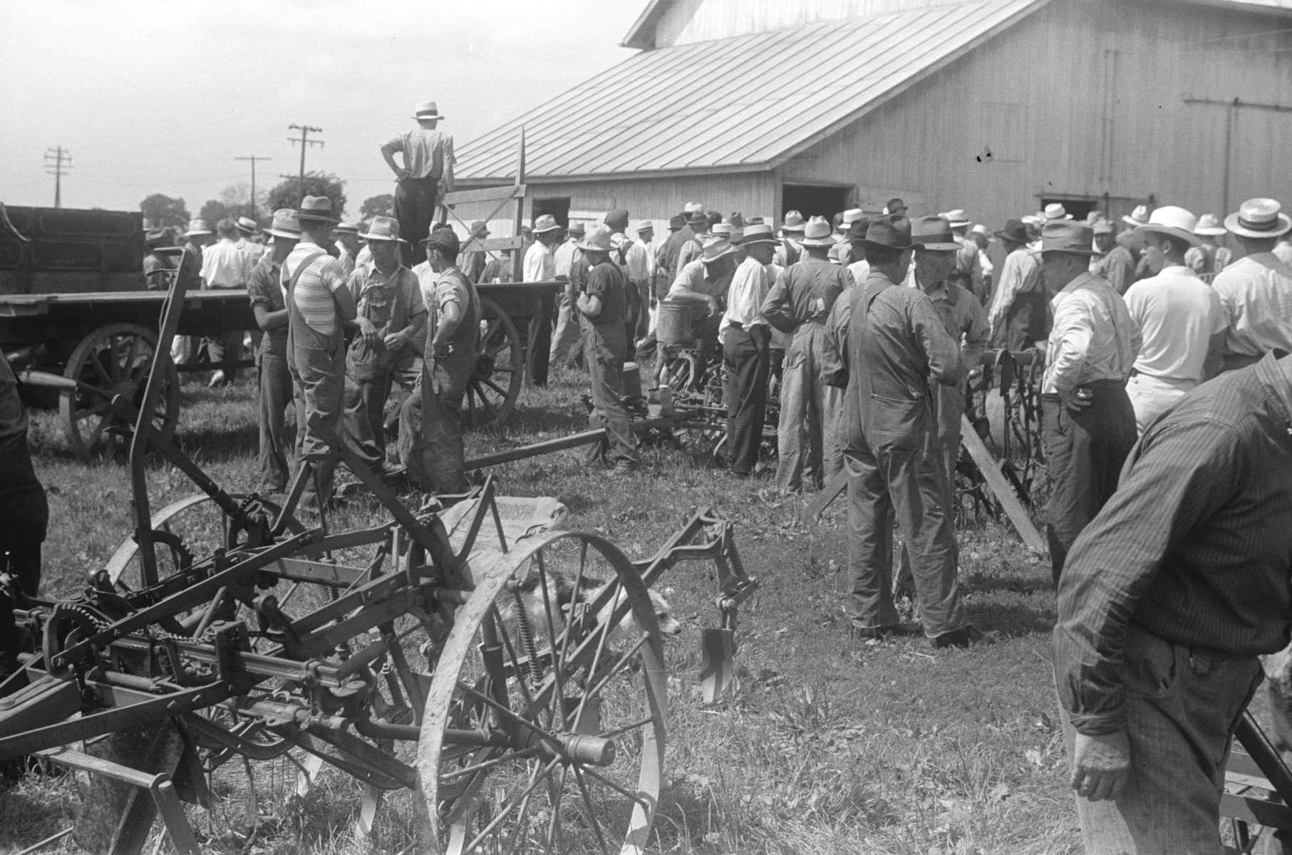 facing-the-future-of-farming-farm-collector